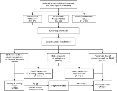 Image-Based Differentiation of Intracranial Metastasis From Glioblastoma Using Automated Machine Learning